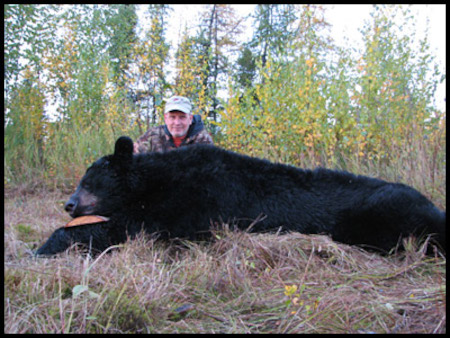 Alaska Black Bear Hunting