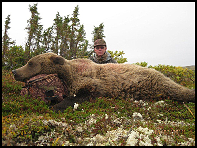 Brown bear hunting in Alaska