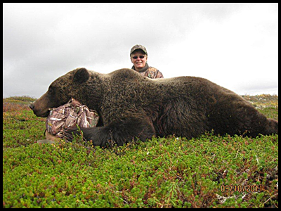 Guided Alaska Brown Bear Hunts
