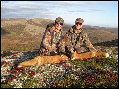 Alaska hunting